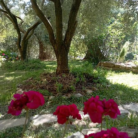 Villa Relax Skála Kallirákhis Zewnętrze zdjęcie